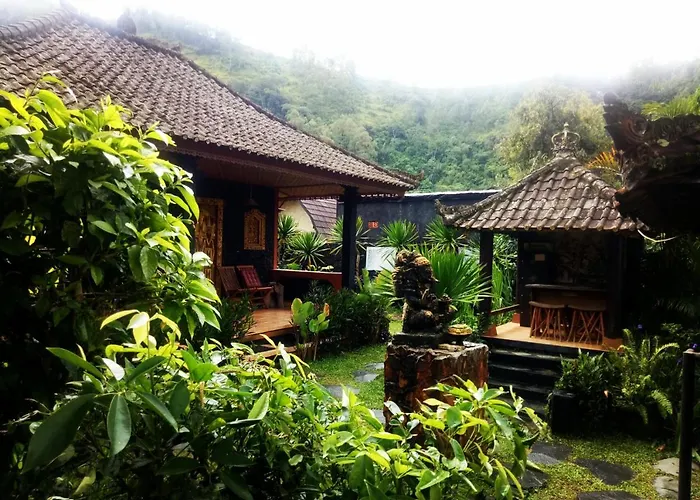 Bunbulan Hill And * Kintamani